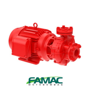 famac1