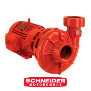 schneider17
