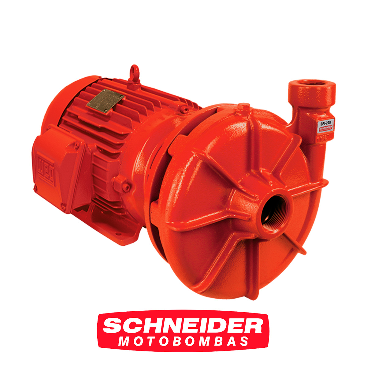 schneider18