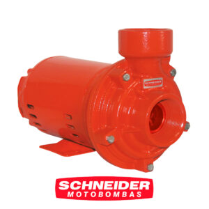 schneider19